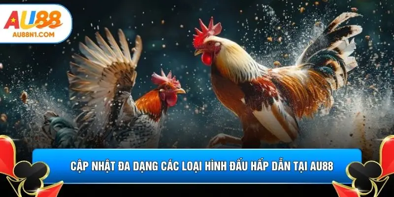 Cập nhật đa dạng các loại hình đấu hấp dẫn tại AU88