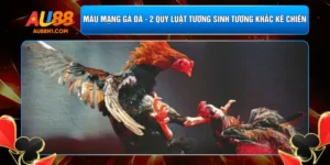 Màu Mạng Gà Đá - 2 Quy Luật Tương Sinh Tương Khắc Kê Chiến