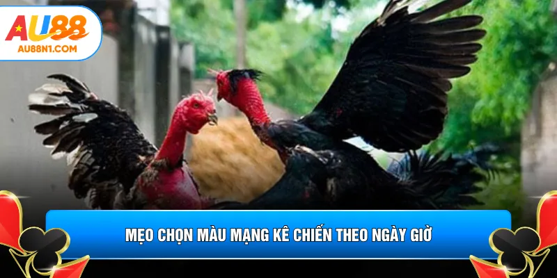 Mẹo chọn màu mạng kê chiến theo ngày giờ