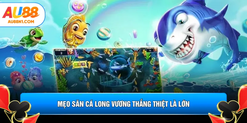 Mẹo săn cá long vương thắng thiệt là lớn
