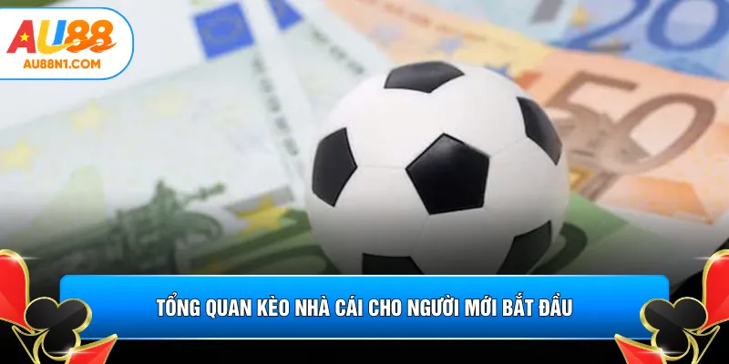 Tổng quan kèo nhà cái cho người mới bắt đầu