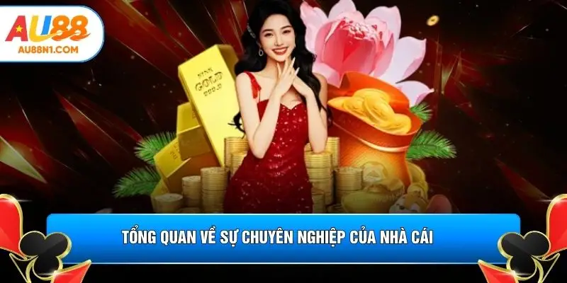 Tổng quan về sự chuyên nghiệp của nhà cái